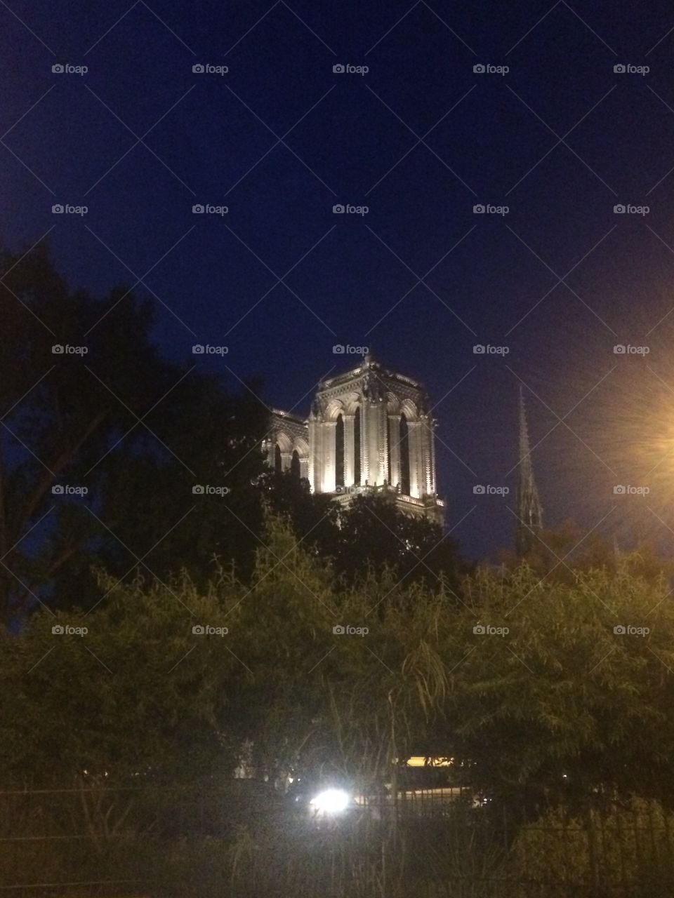 Illuminated Notre Dame Paris