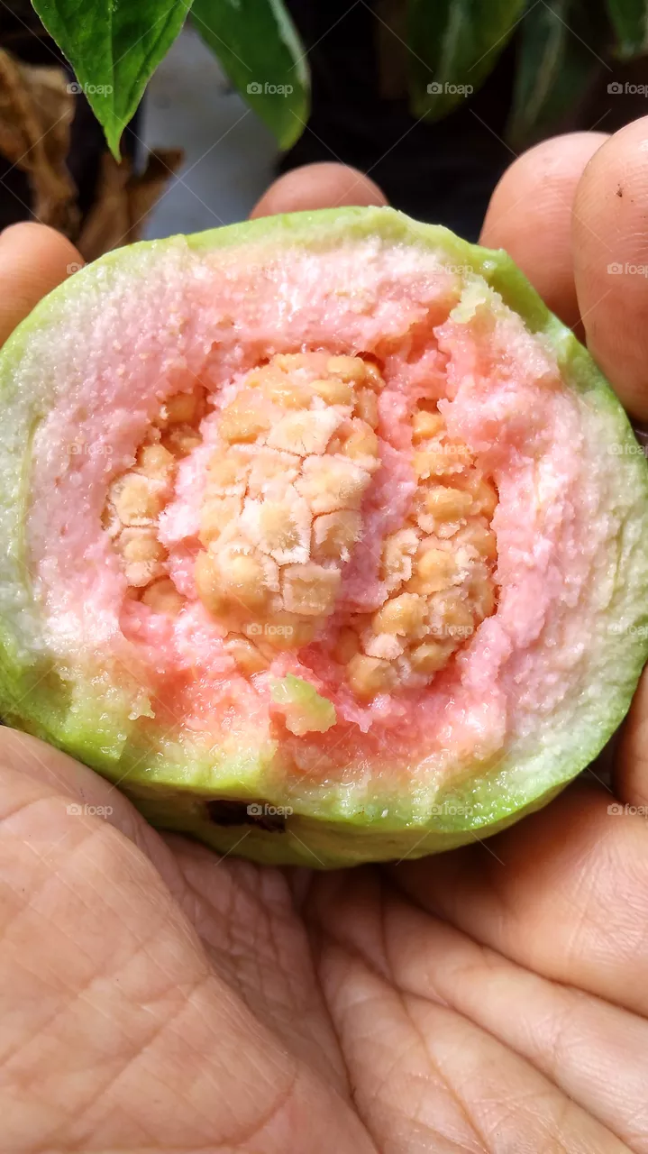 fruit in Indonesia