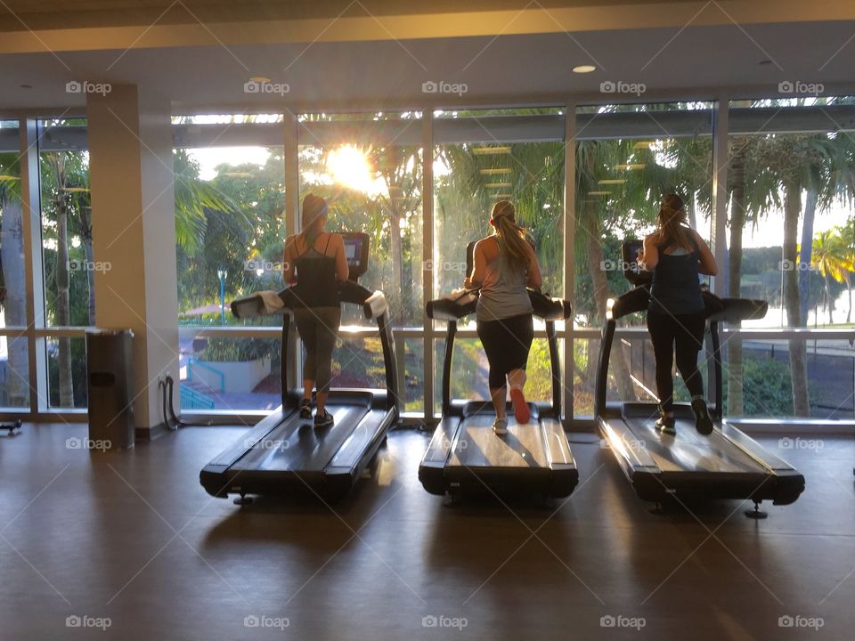 Women waking on thread mill in a gym, Weston, Florida, USA 