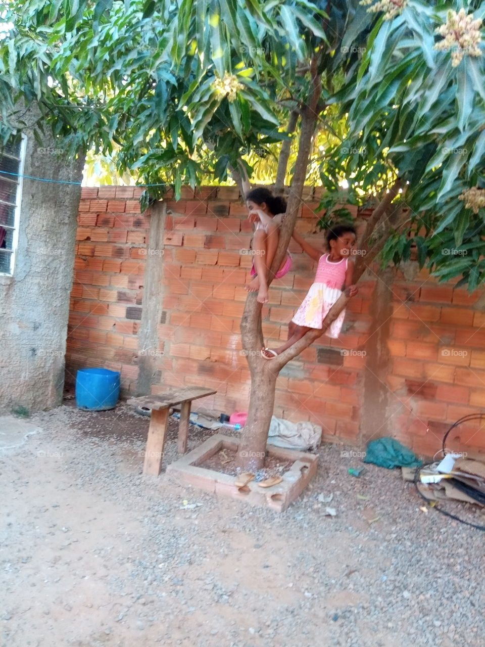 Criança na árvore!