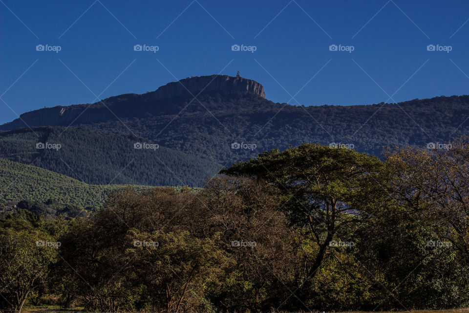 Mountain range behind some trees