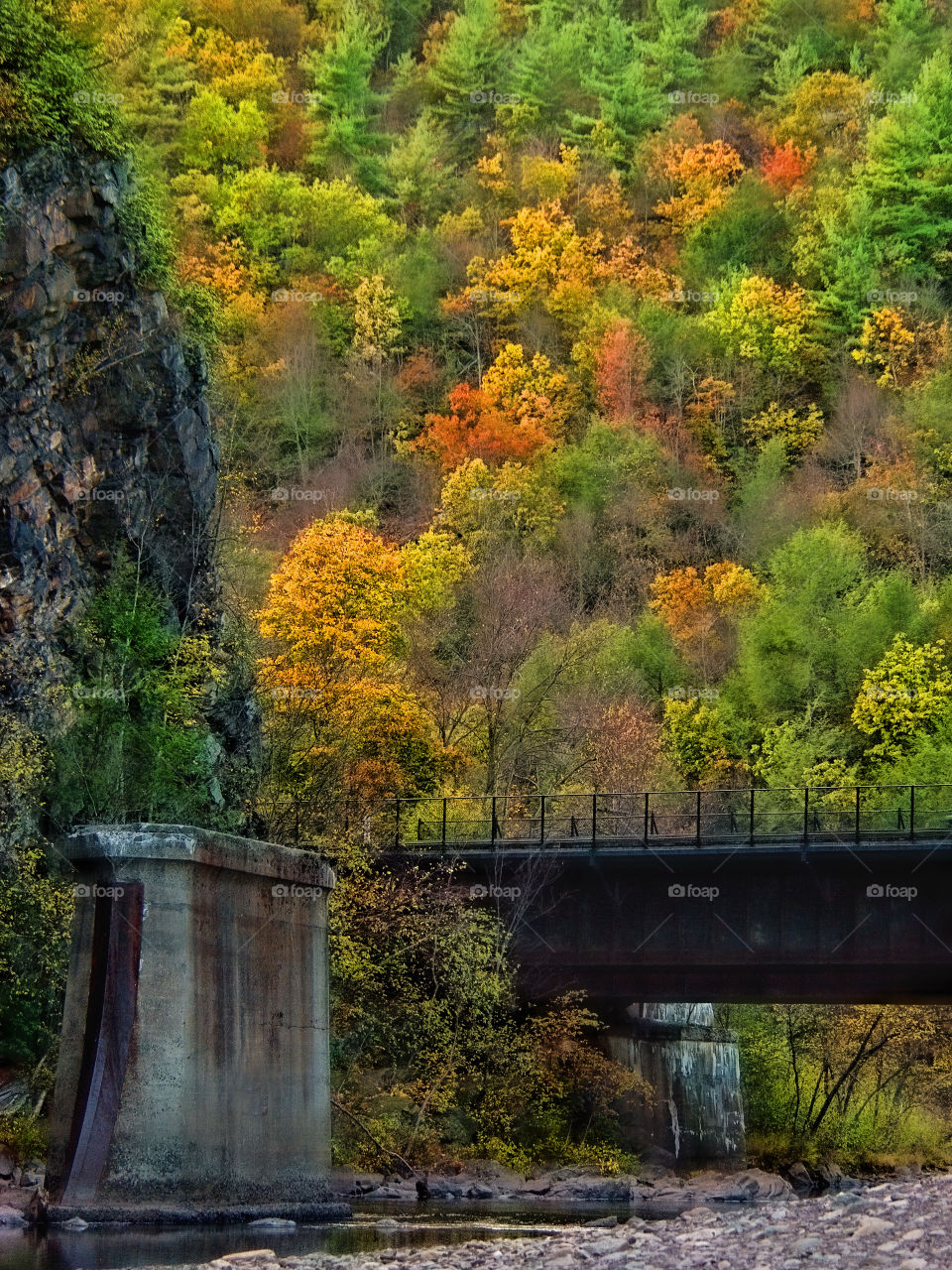 Lehigh Gorge State Park #1