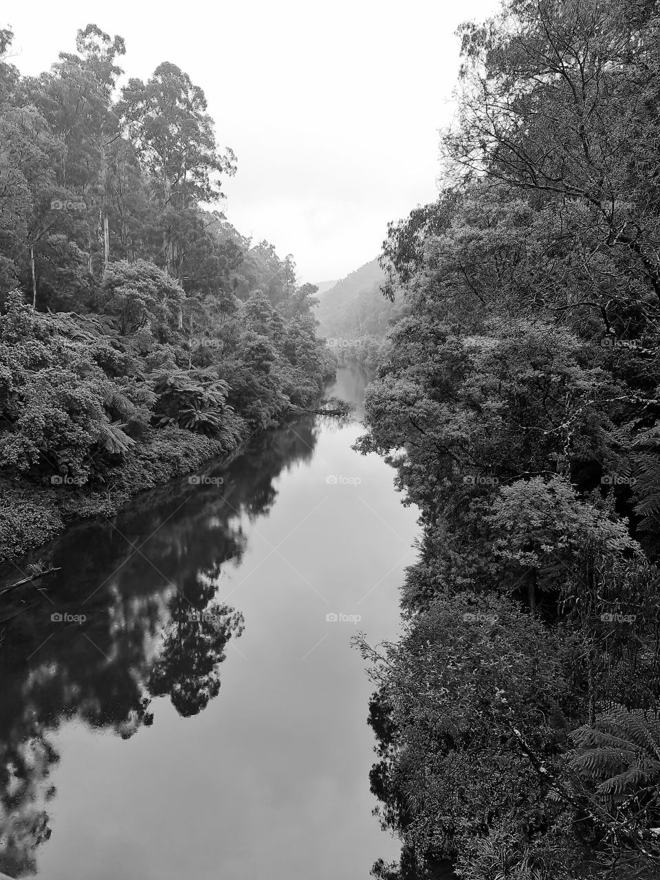 River Walhalla filter