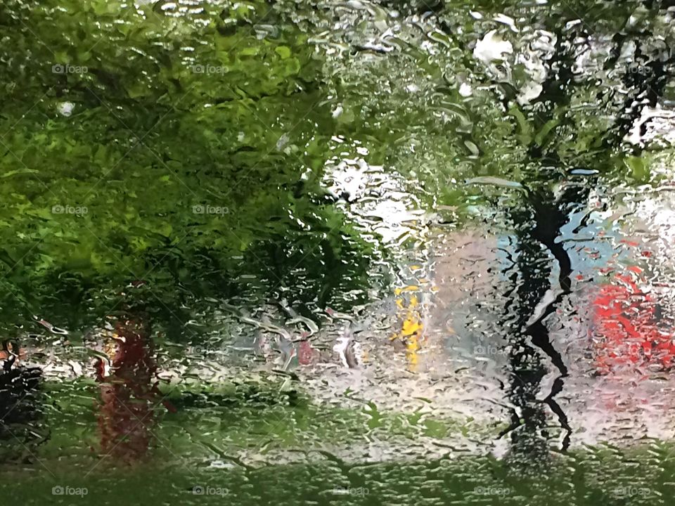 Green landscape seen through a rainy window