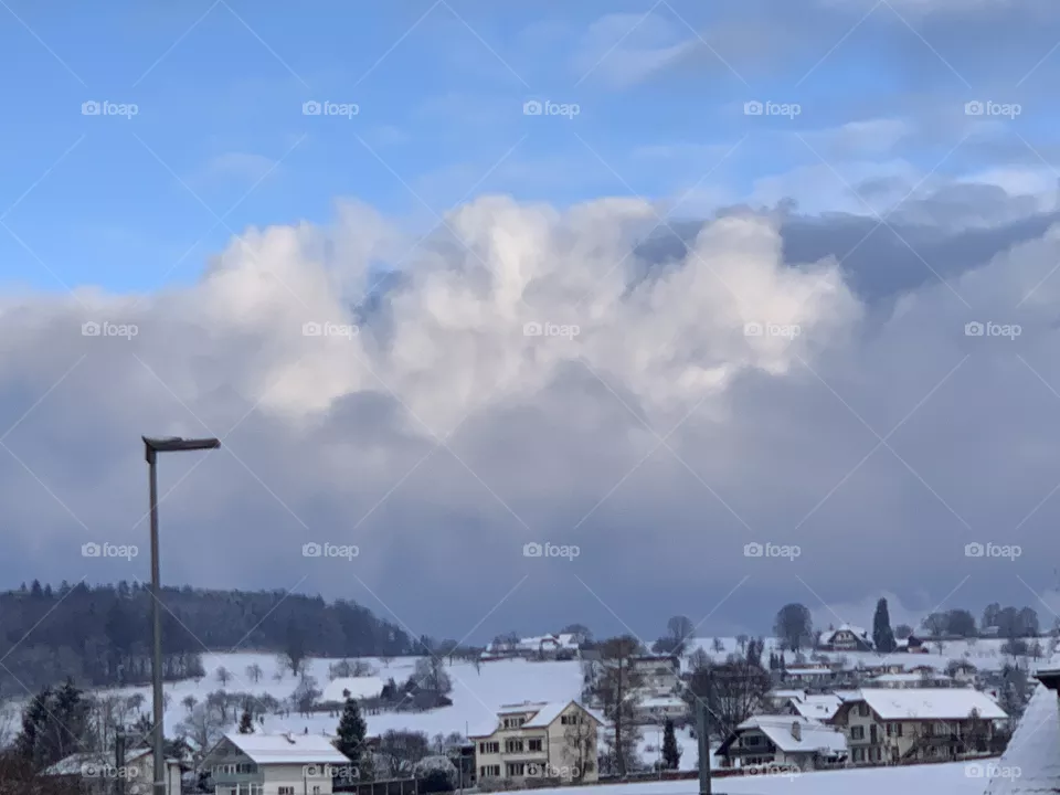 Swiss 