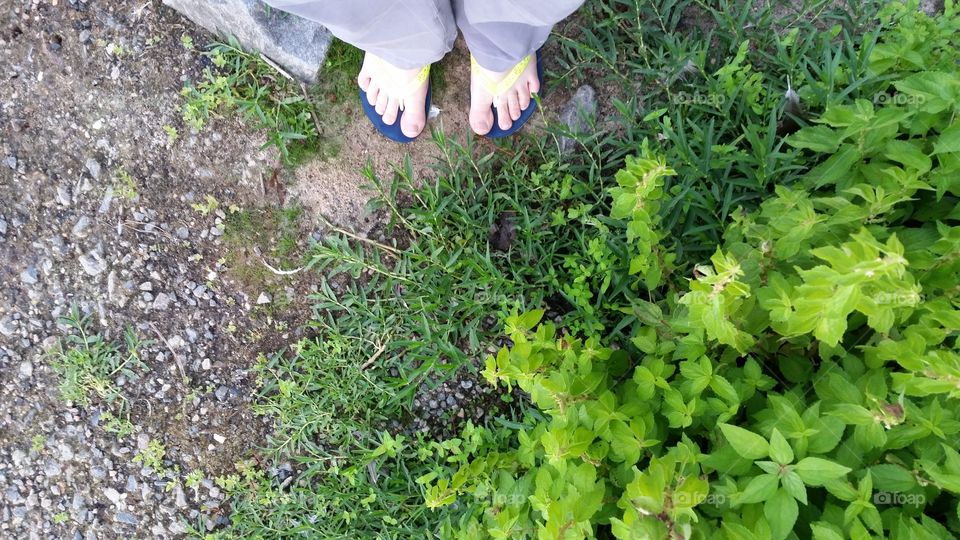 Burke Lake in Virginia