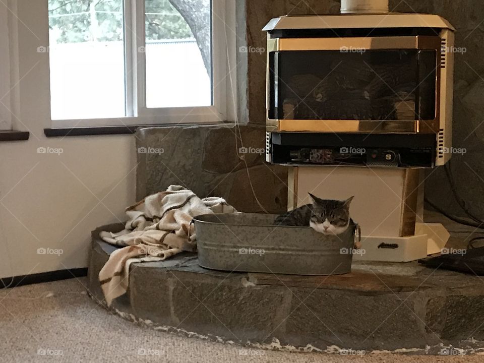 Cat sleeps in front of fireplace 