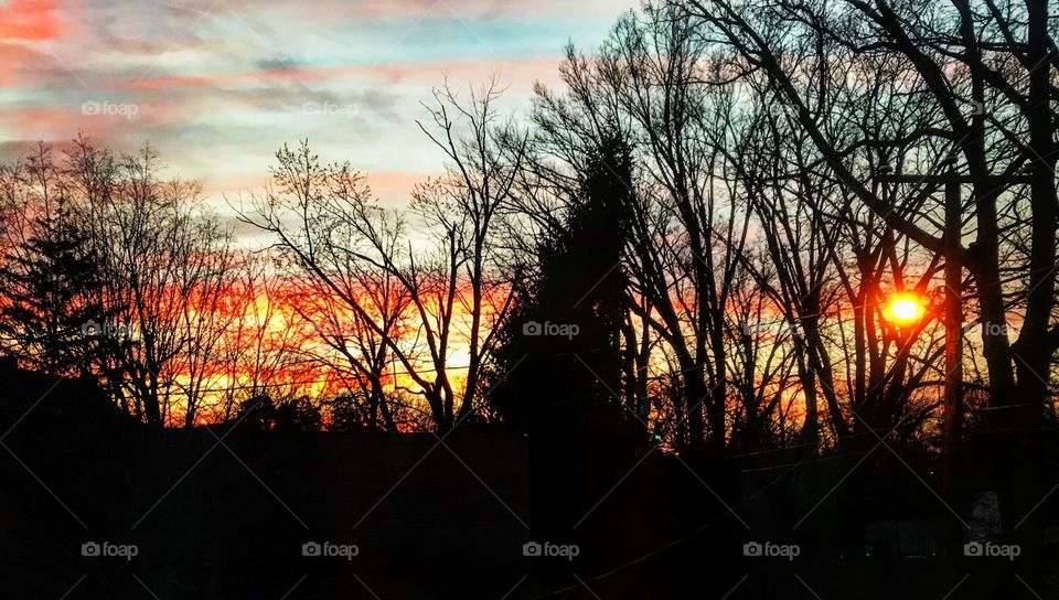 Sunset with tree silhouettes in Ohio 