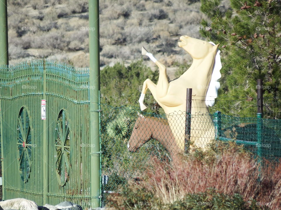 Statues of one white and one brown horse behind a green gate.