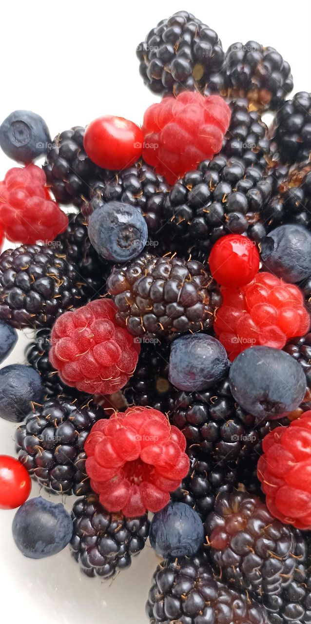 tasty colour ripe wild berries, healthy summer food, close up, beautiful texture background