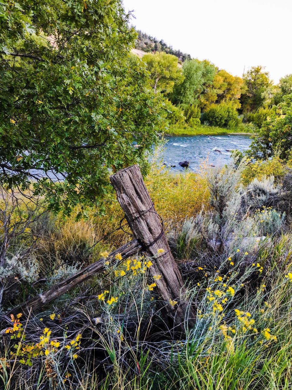 Broken fence near river