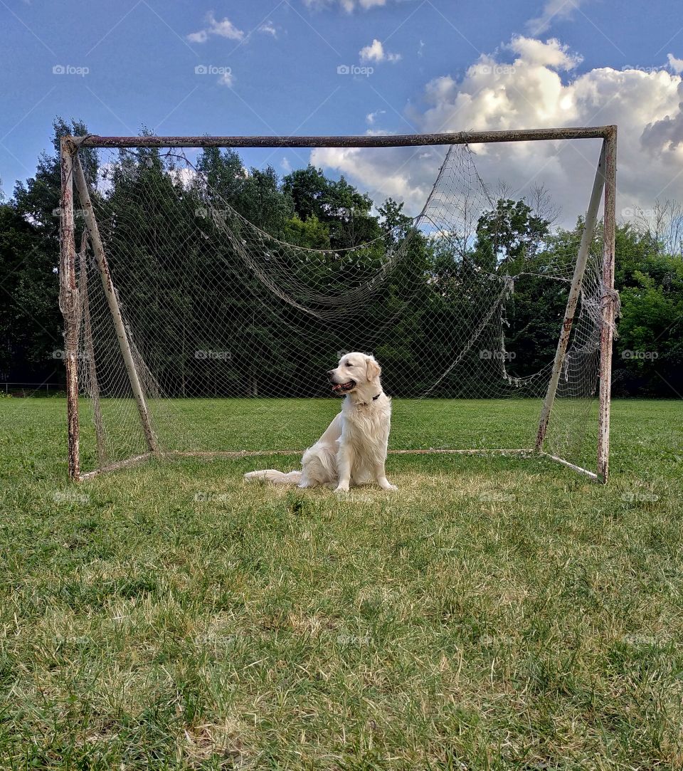 Goalkeeper.