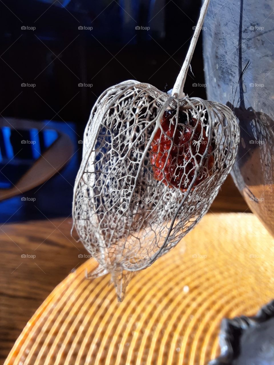 gray physalis fruit and yellow  mat