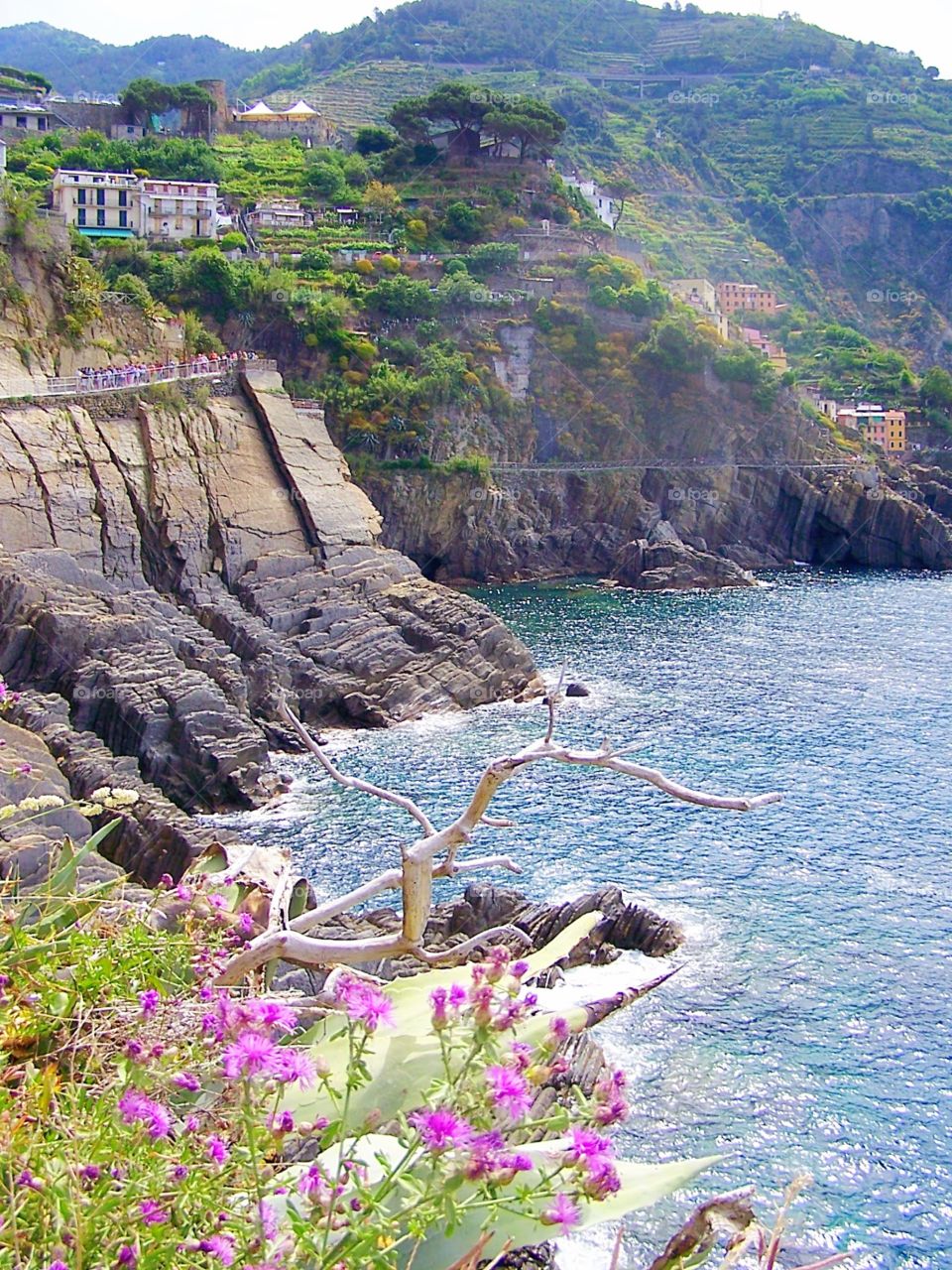 View from Manarola in Cinque Terre, Italy, aka (along the lovers’ walk). Sea, cliffs, village