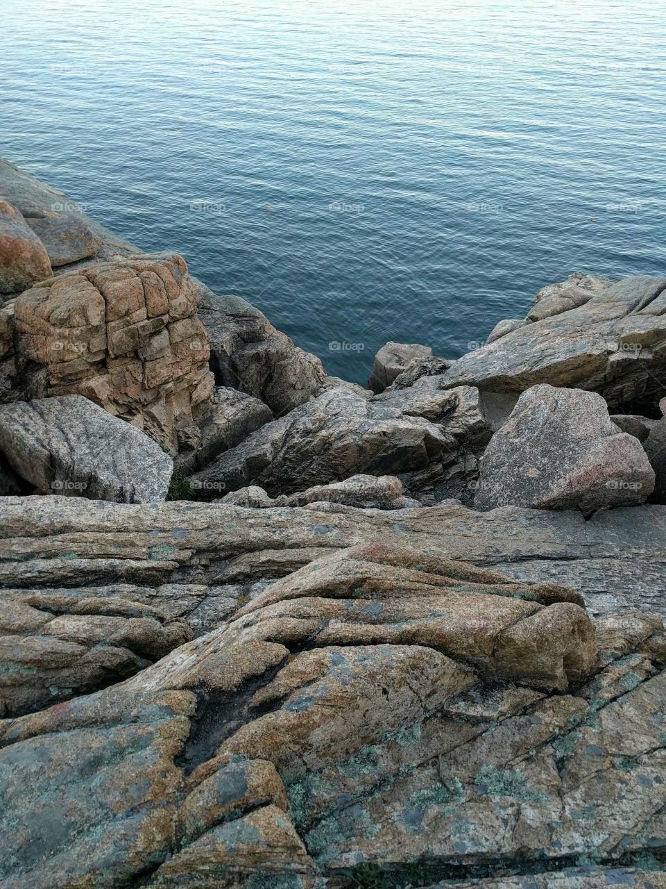 Acadia Cliff