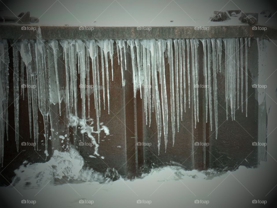 Northern Michigan 