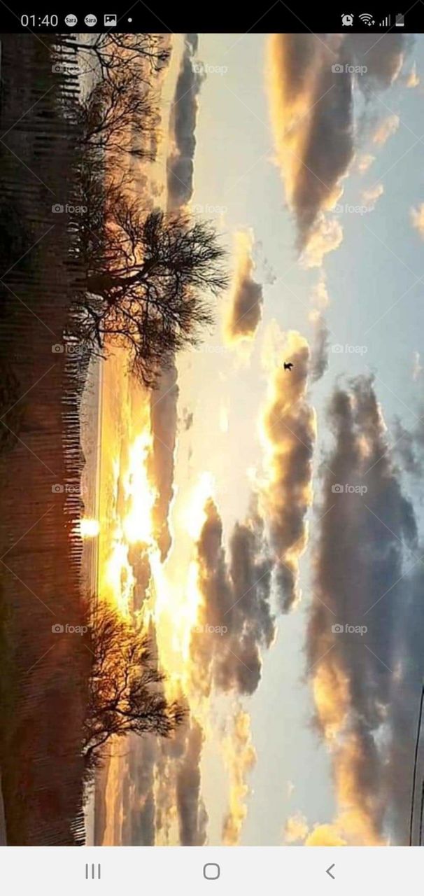 Couché de soleil à Hyères