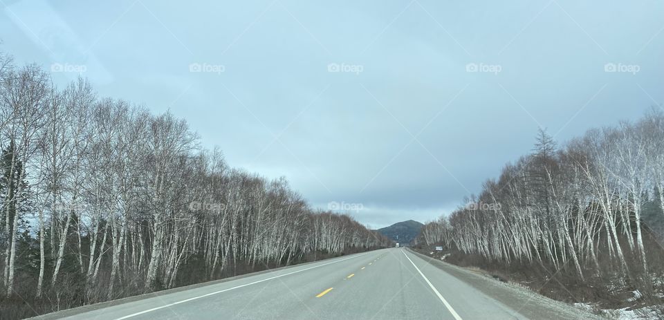 Driving through the birchy narrows in Newfoundland