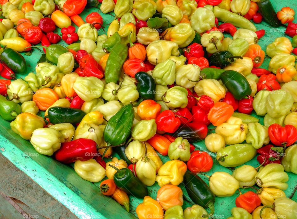 Peppers galore