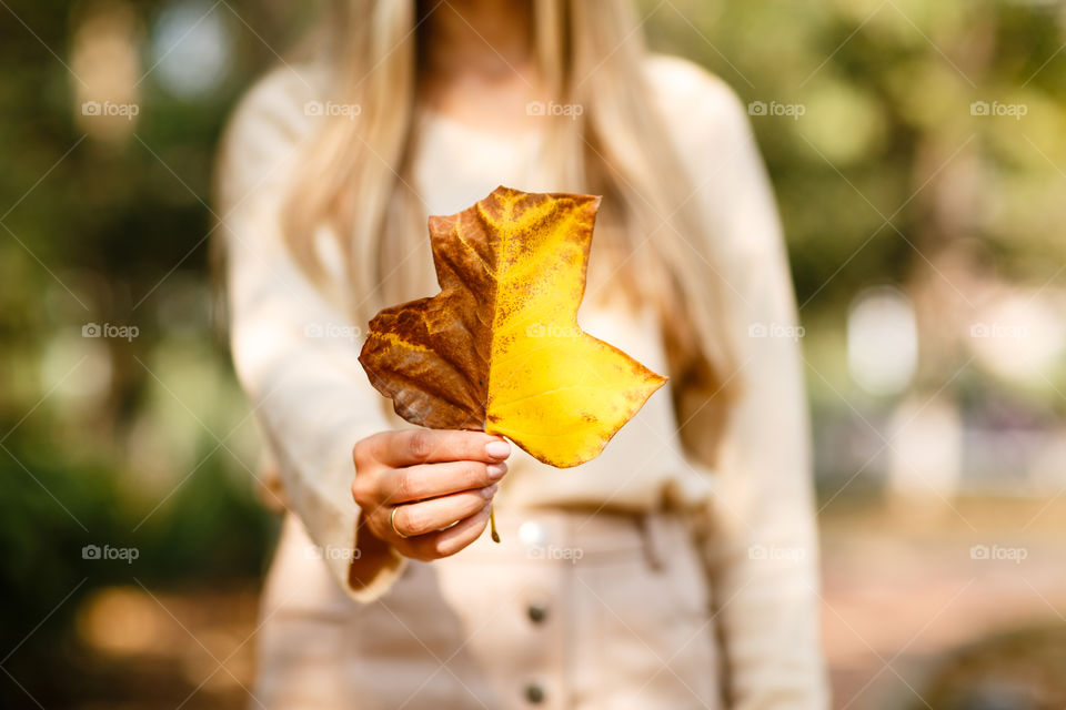 Woman hand holding fallen leaf 