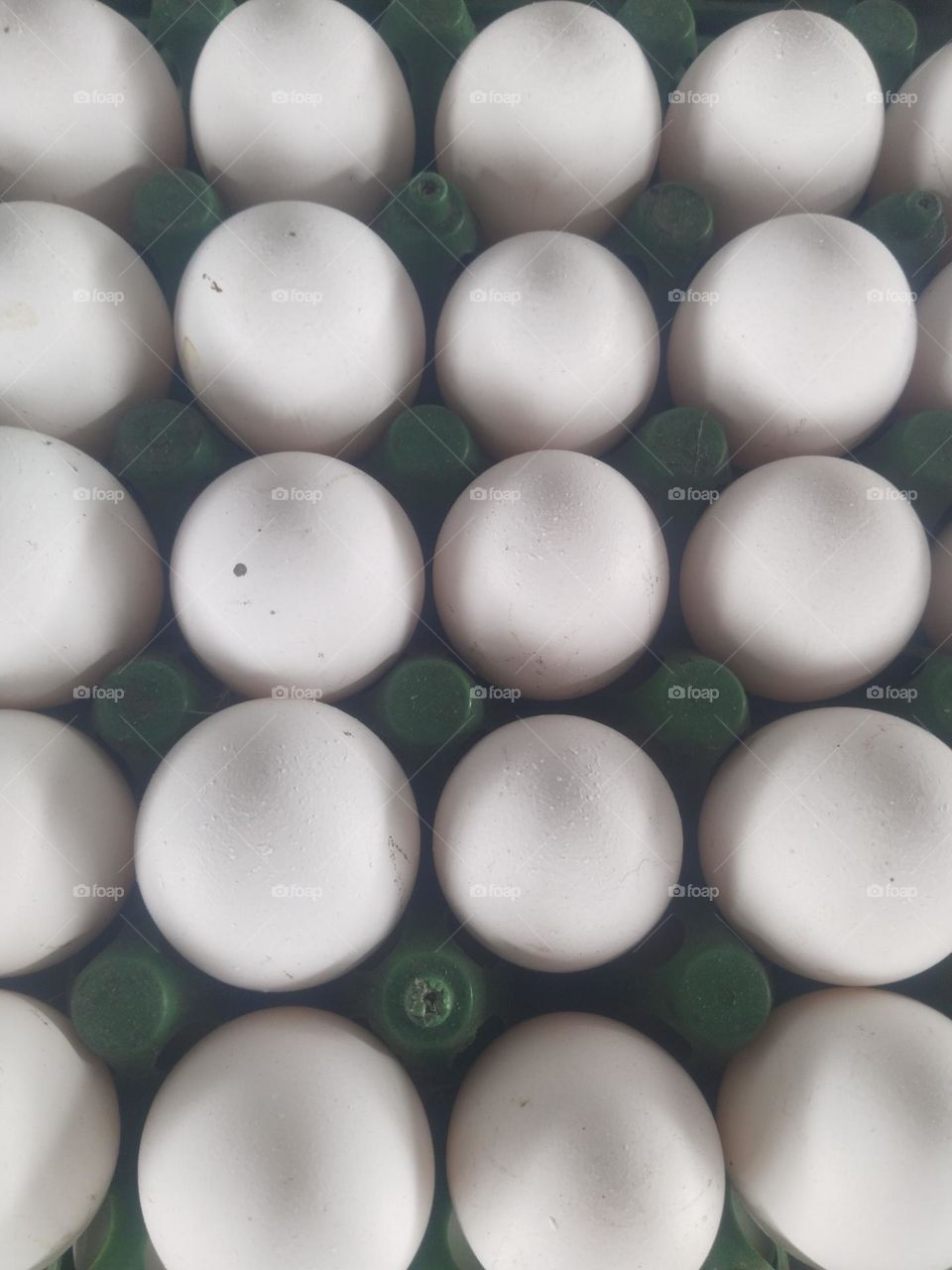 eggs