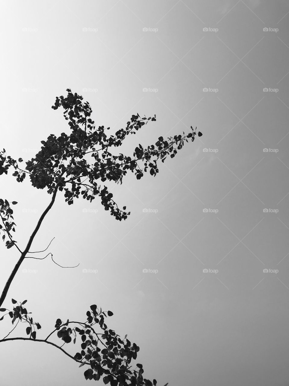 Standing alone is hard but standing alone makes you noticeable and therefore desirable. 