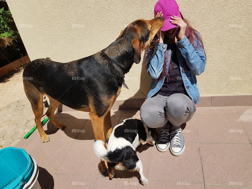 Time to play whit the best friends, miss youuuuuu😥😥😥🐕🐕🐕🐕.Dogs