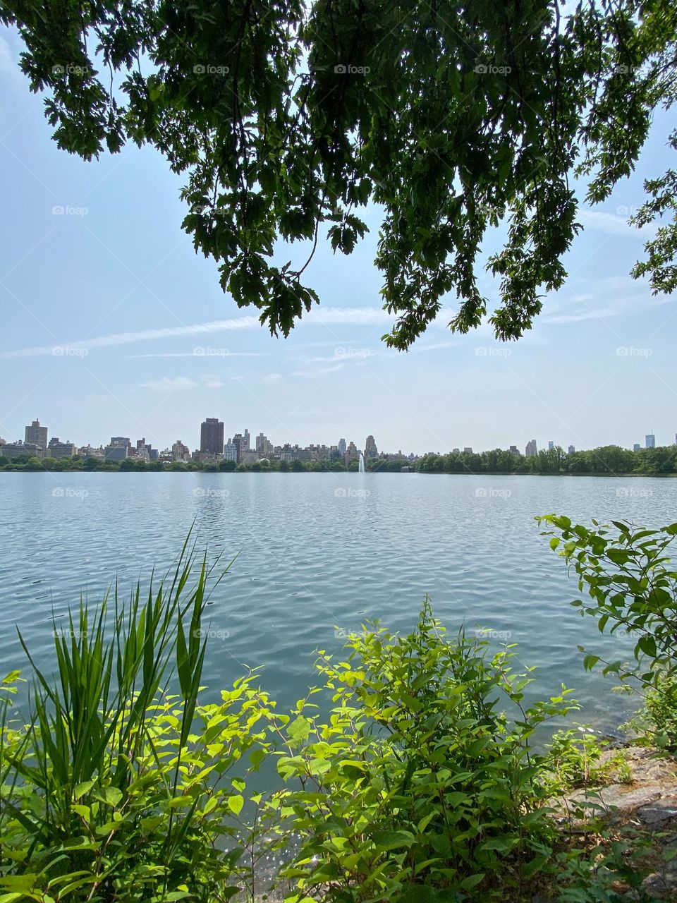 New York City Central Park Jacqueline Kennedy Onassis Reservoir with fountain in lake and in buildings of Manhattan.