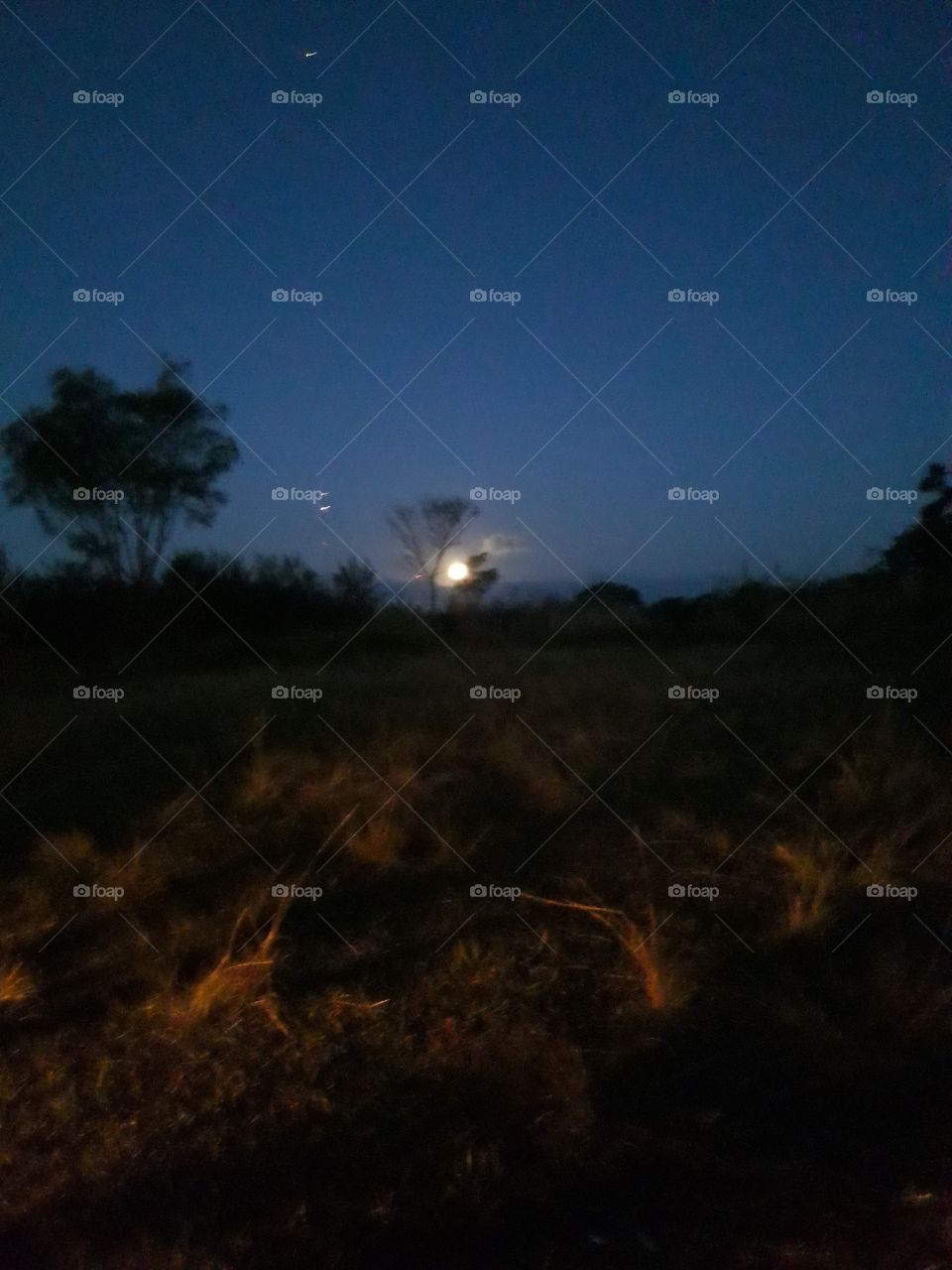 Paisagens belíssimas do nosso Brasil.