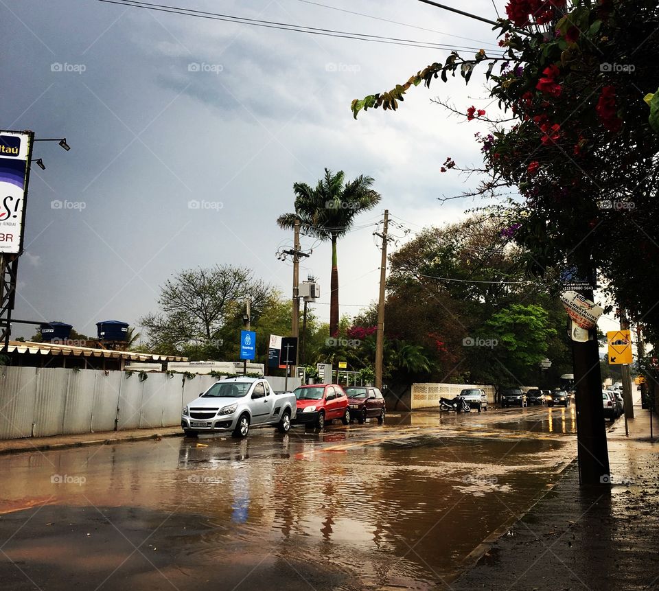 Quando chove, a nossa avenida fica intransitável. Como ter asfalto desnivelado a tal ponto e sem bueiro?
Olhe só que “piscinão” forma toda vez... uma verdadeira lagoa!
🐟 
#infraestrutura #descaso