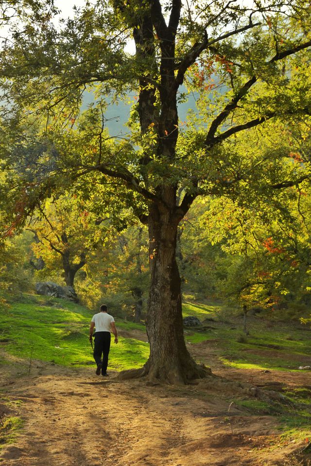 Autumn is beautiful