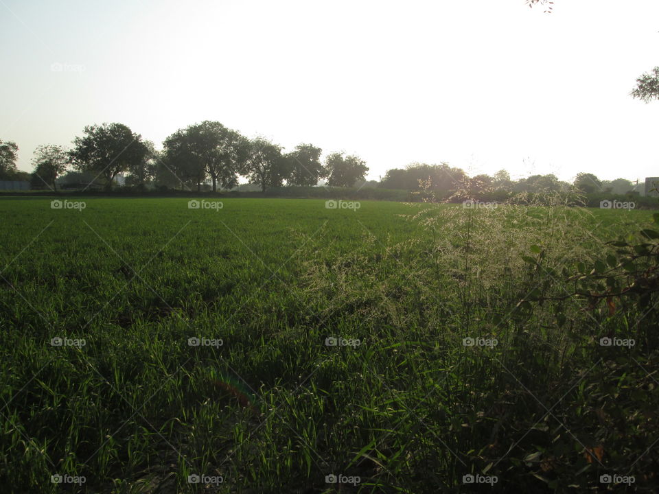 Hi to go to go to go go