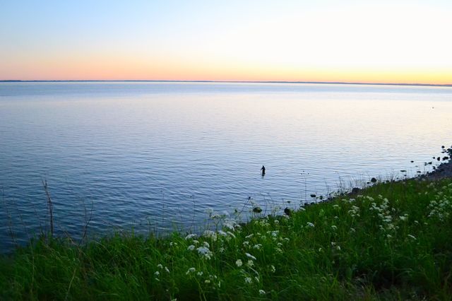 Fishing in the ocean