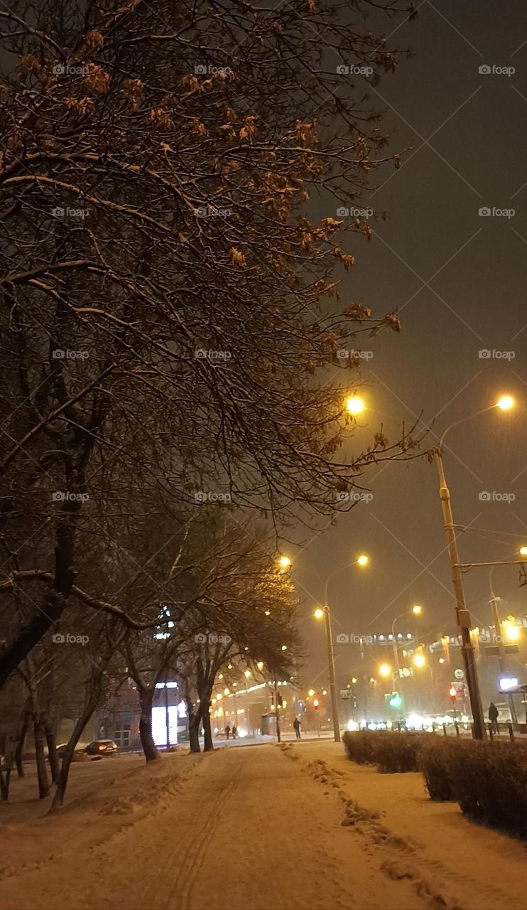 winter night street and park beautiful landscape