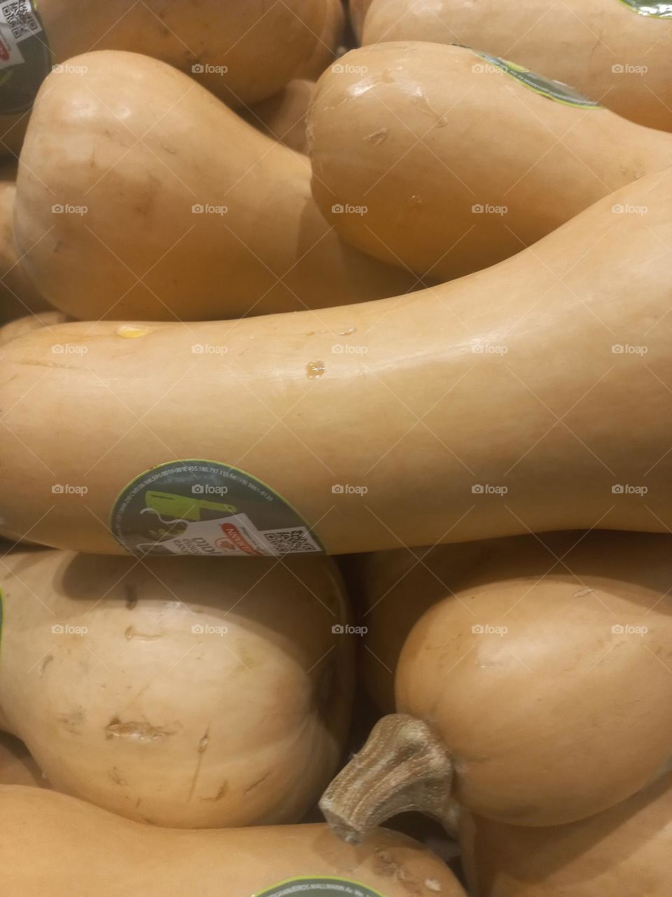 Abobora  de pescoço  ou seca, rica em nutrientes  essências, como vitaminas, minerais, carboidratos, fibras e, com poucas calorias.