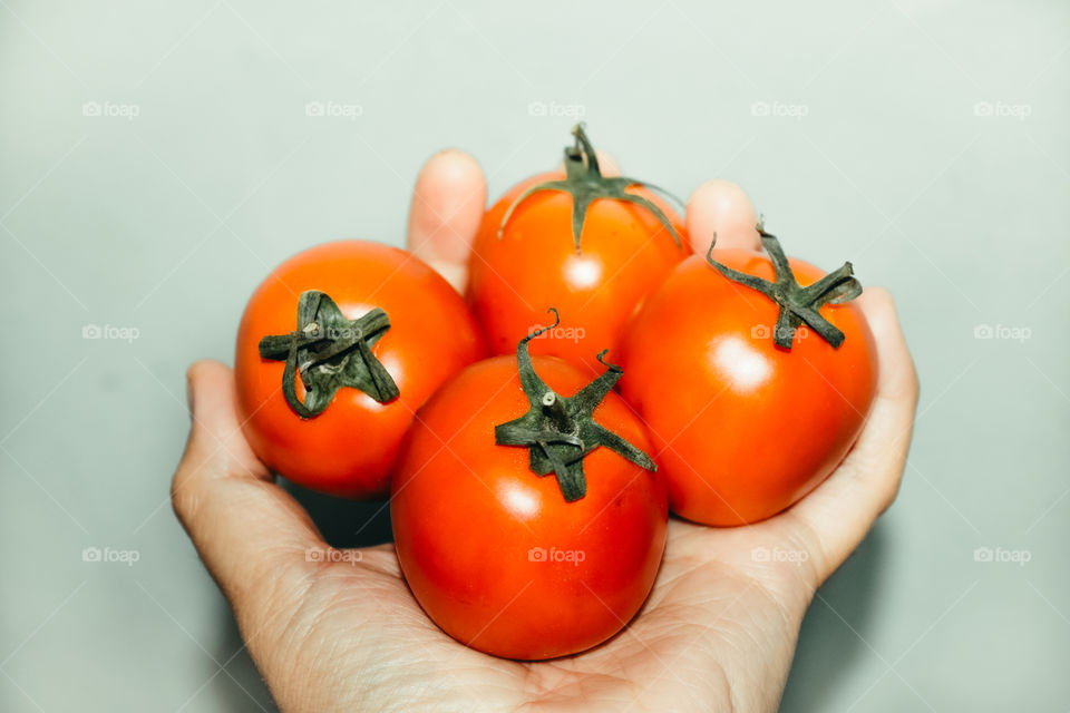 Artistic photos of tomatoes and shadows.