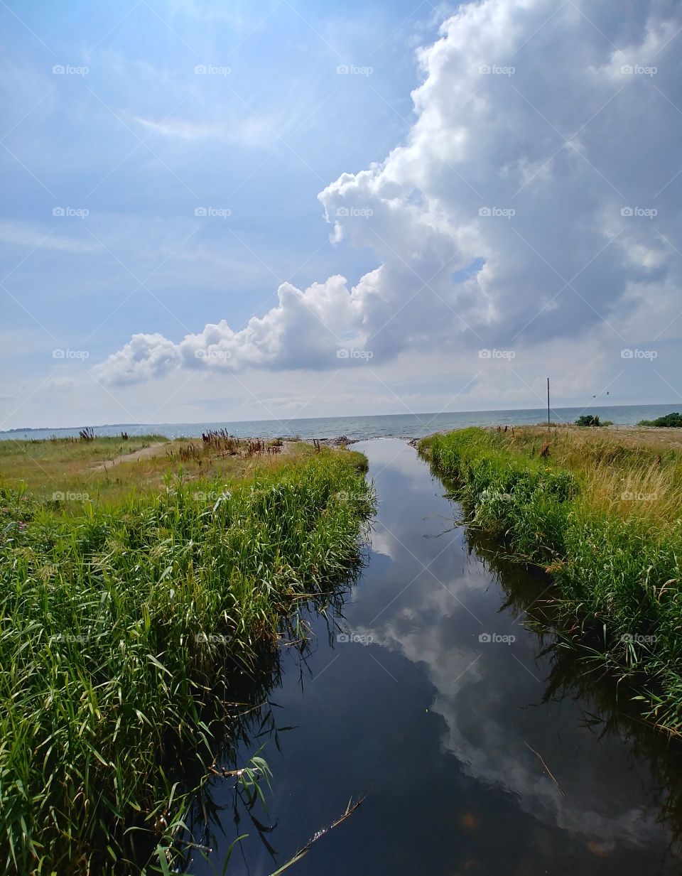 Au bach fluss wasser water natur