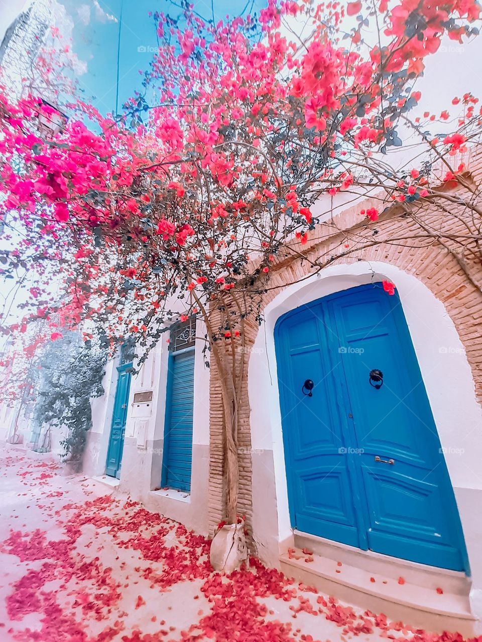 Nature × urbanization