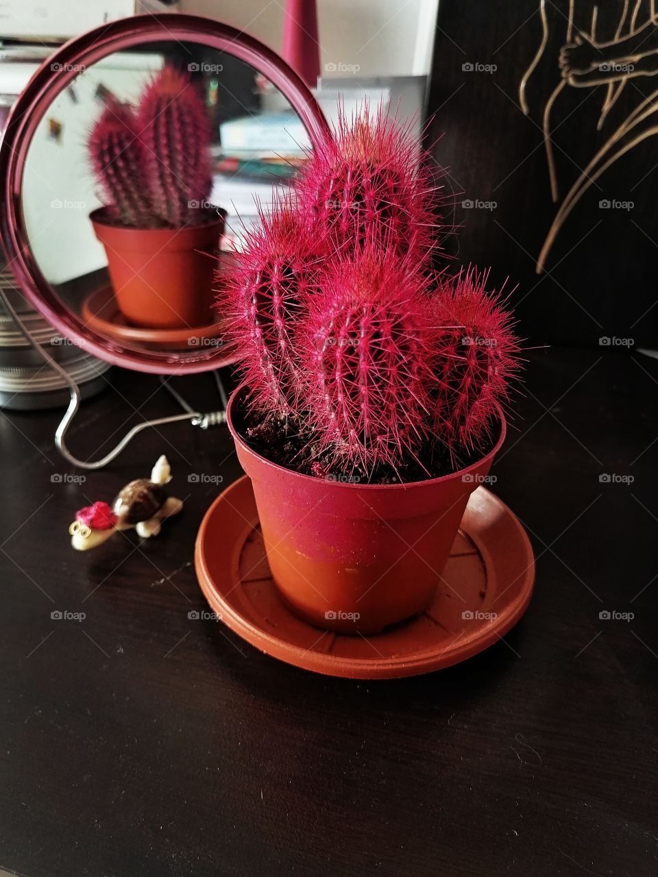 Cactus