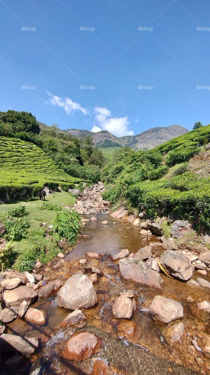 Adopt the pace of nature