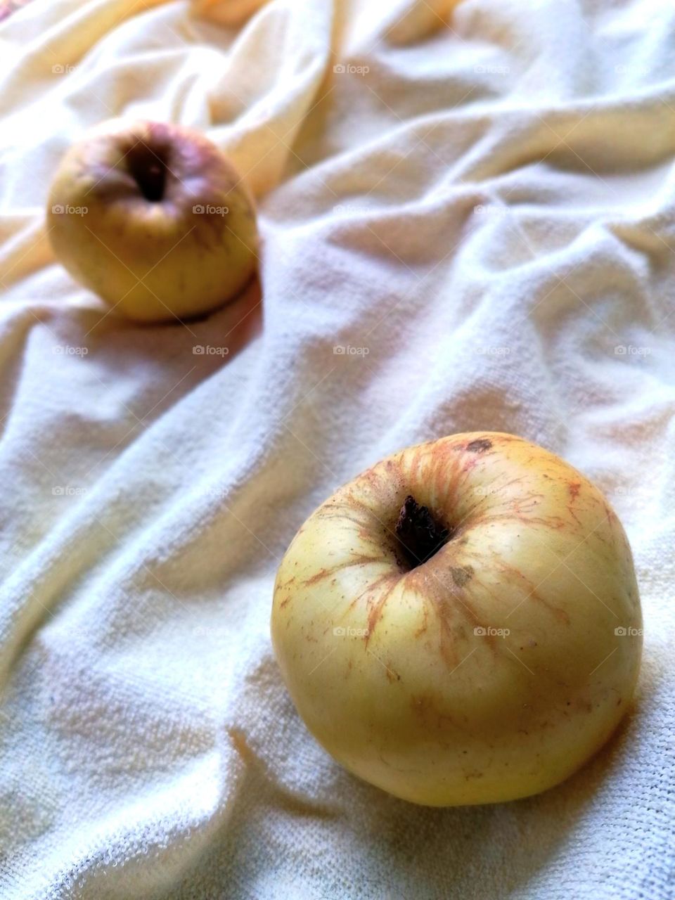 Two yellow apples.