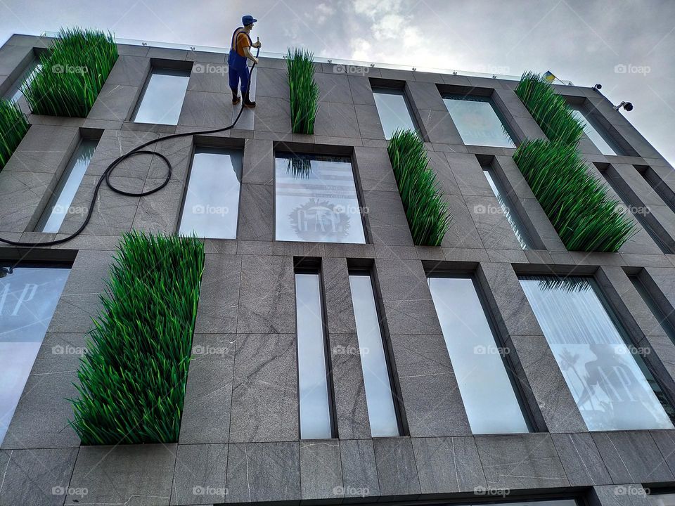 landscaping of the facade of the building