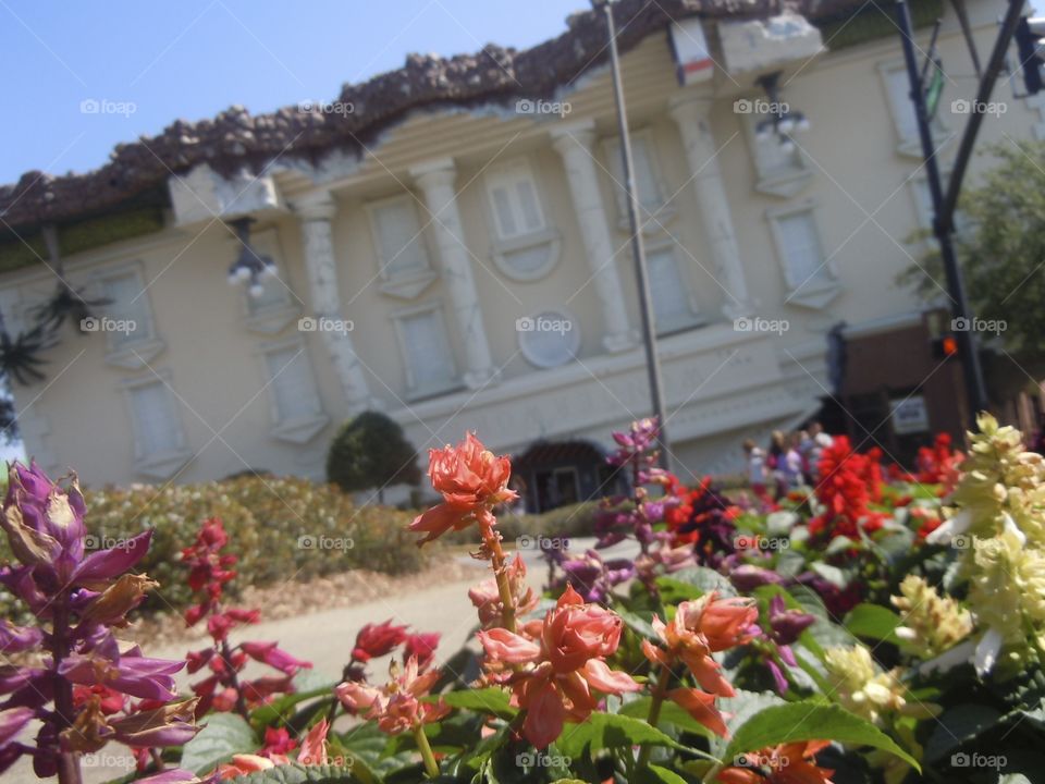 Upside Down Wonderworks