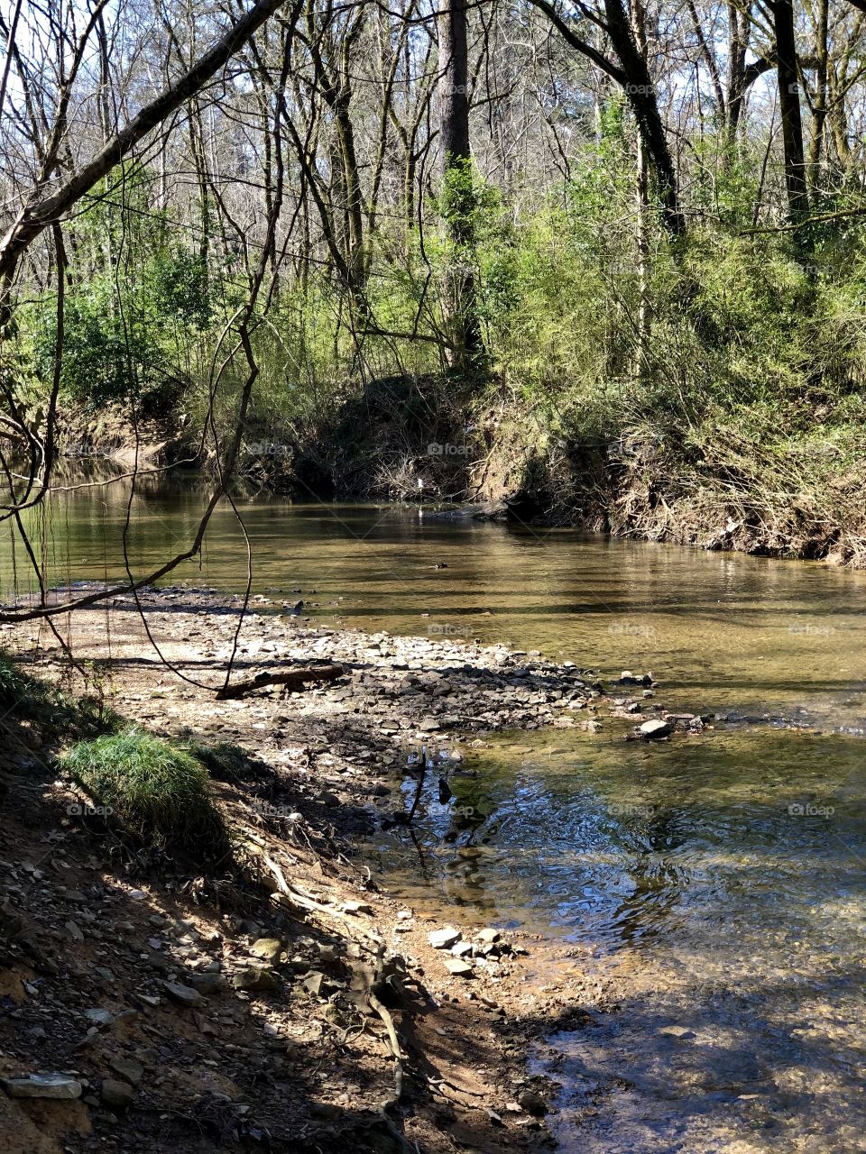 Shades Creek around the bend
