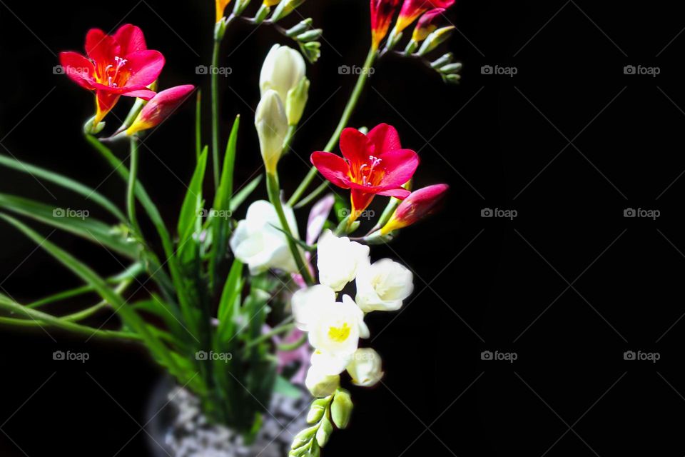 Homemade bouquet of flowers