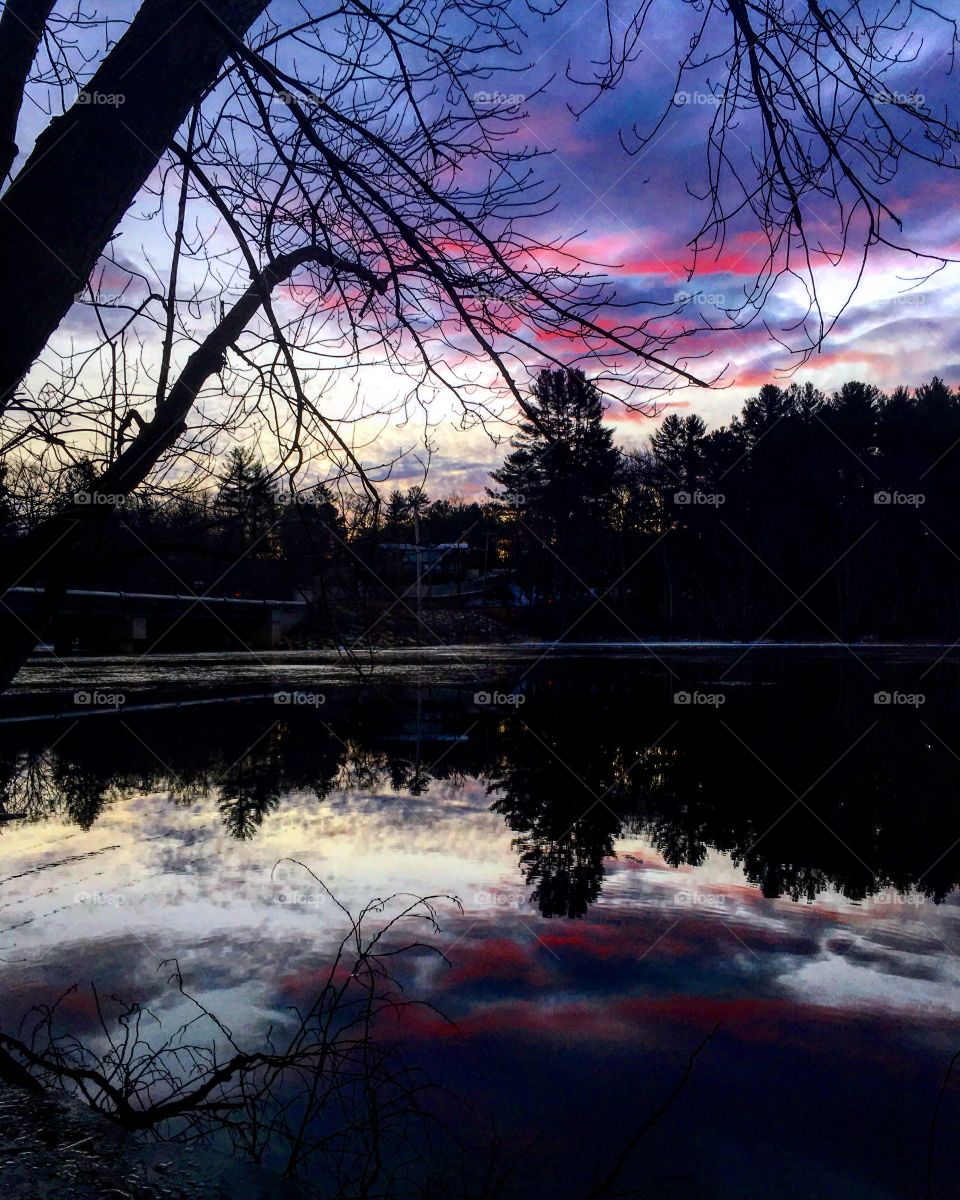 Trees reflecting in lake during sunset