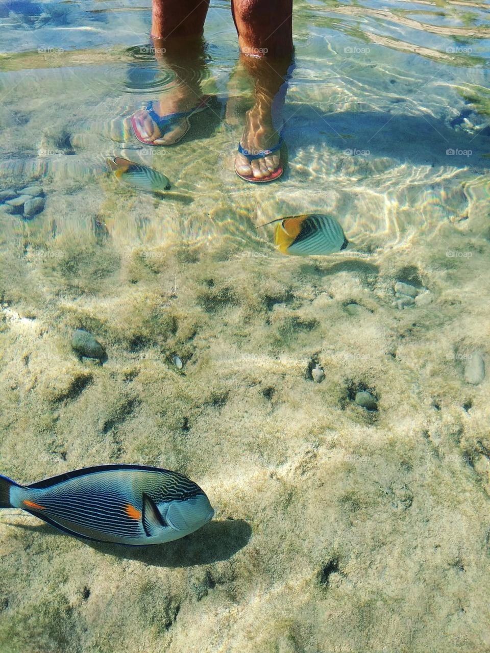 upload your photo of the