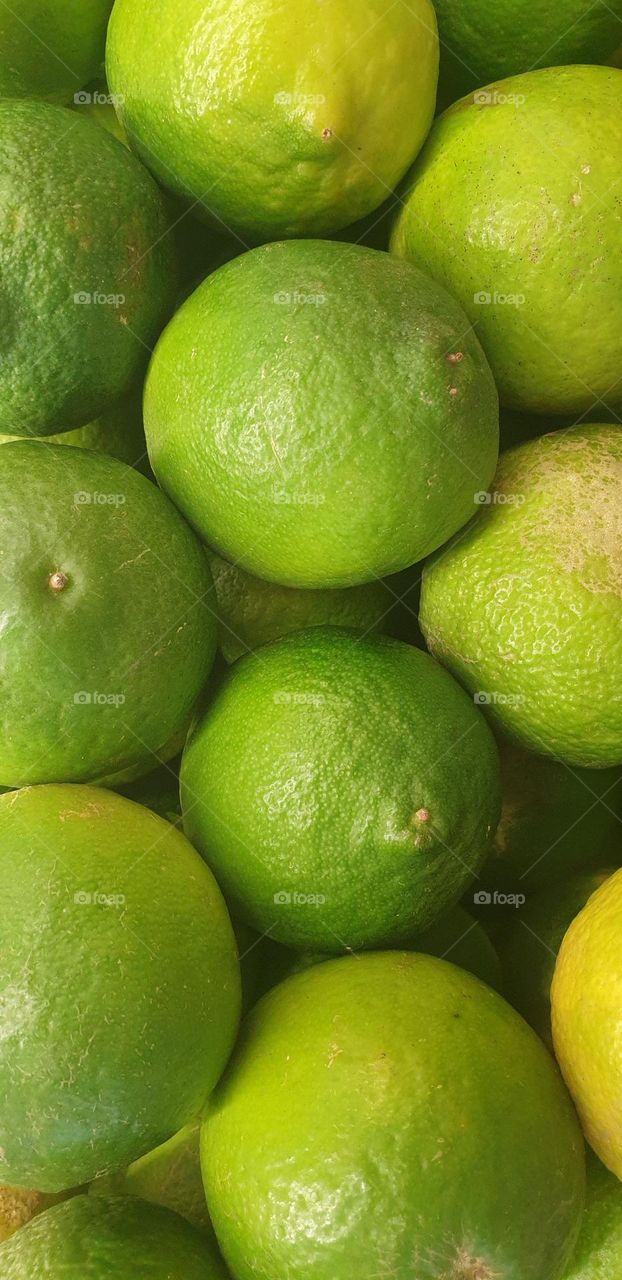 green lemon of exquisite flavor for food and a rich lemonade