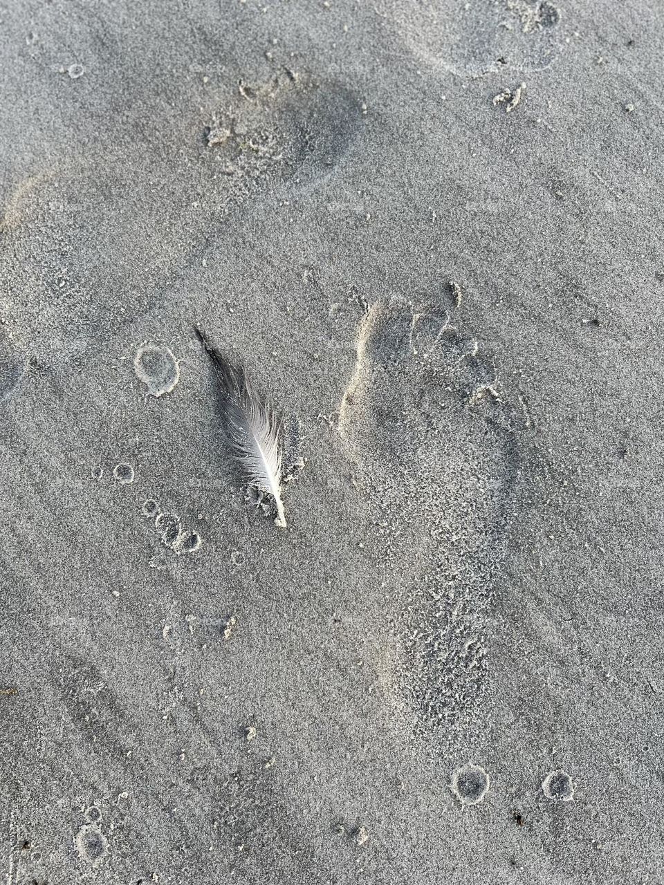 Footprint