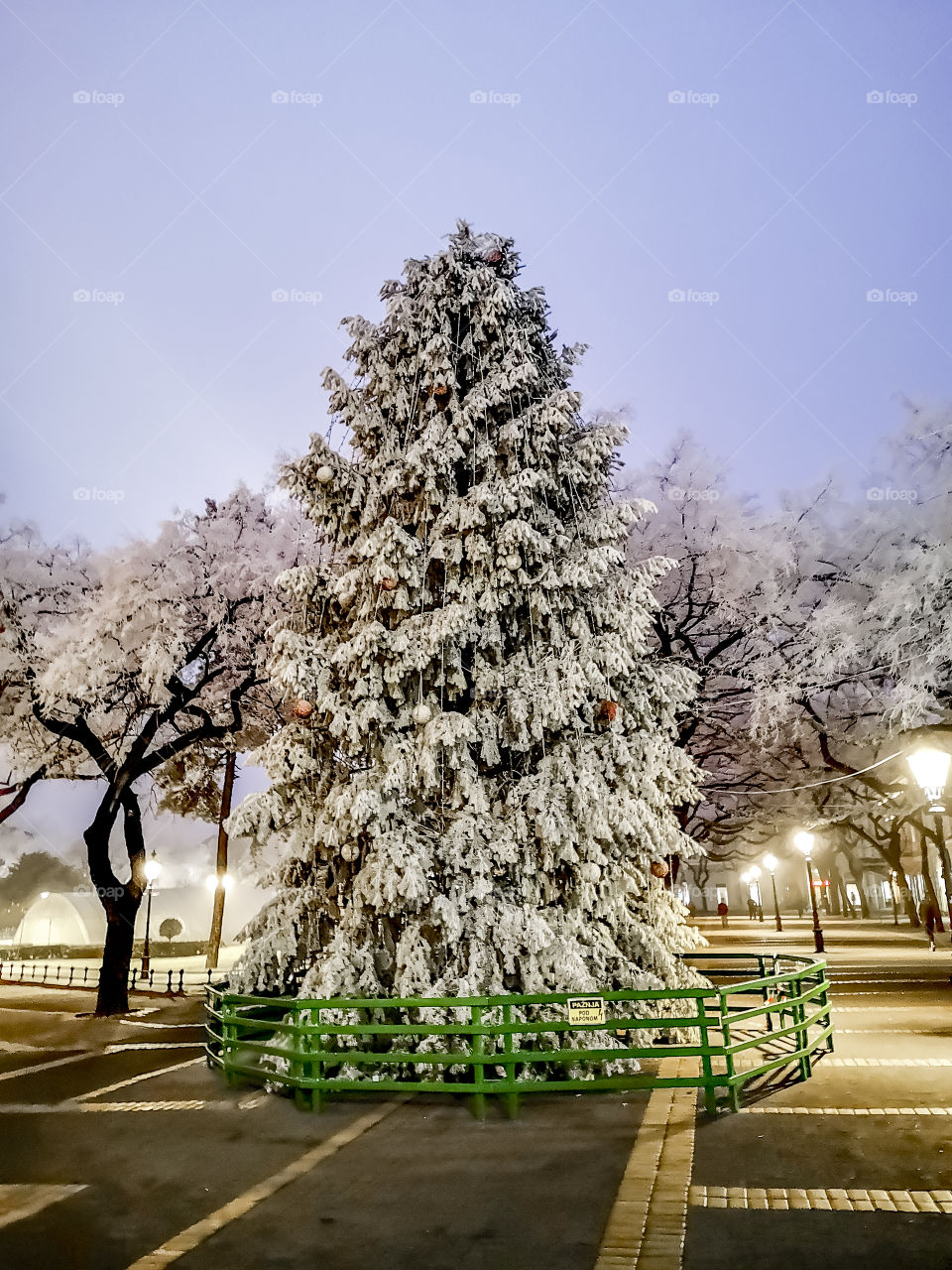 City Christmas tree